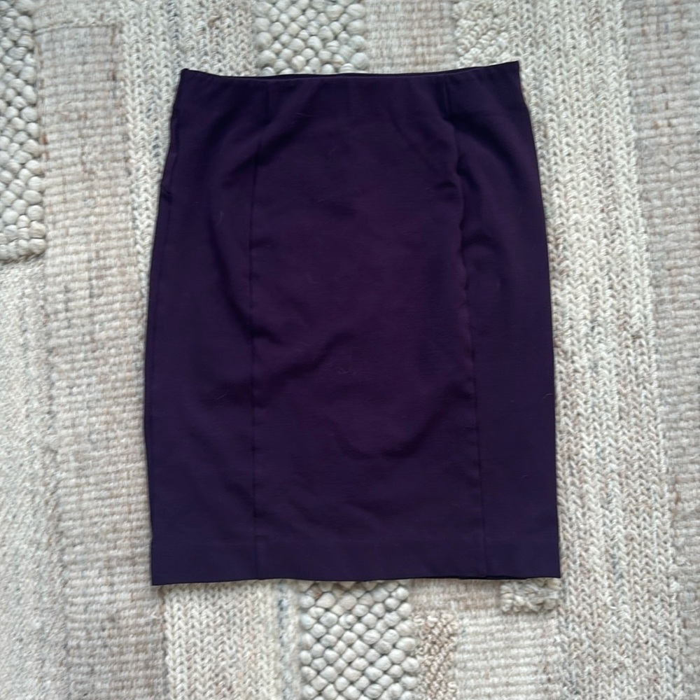 Ann Taylor Pencil Skirt